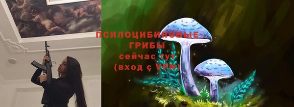 бутират Иннополис