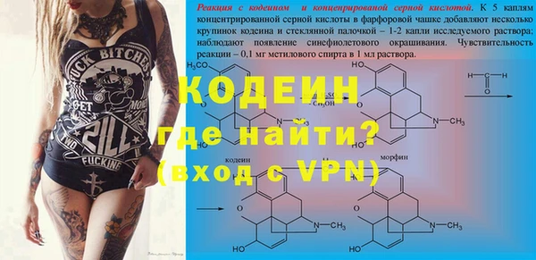 скорость Каменка
