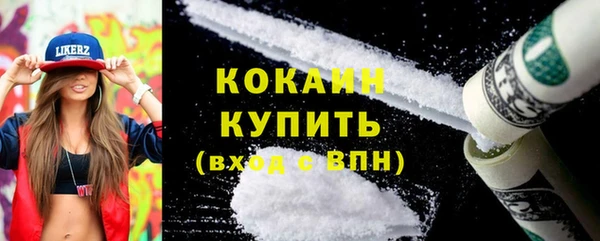 скорость Каменка